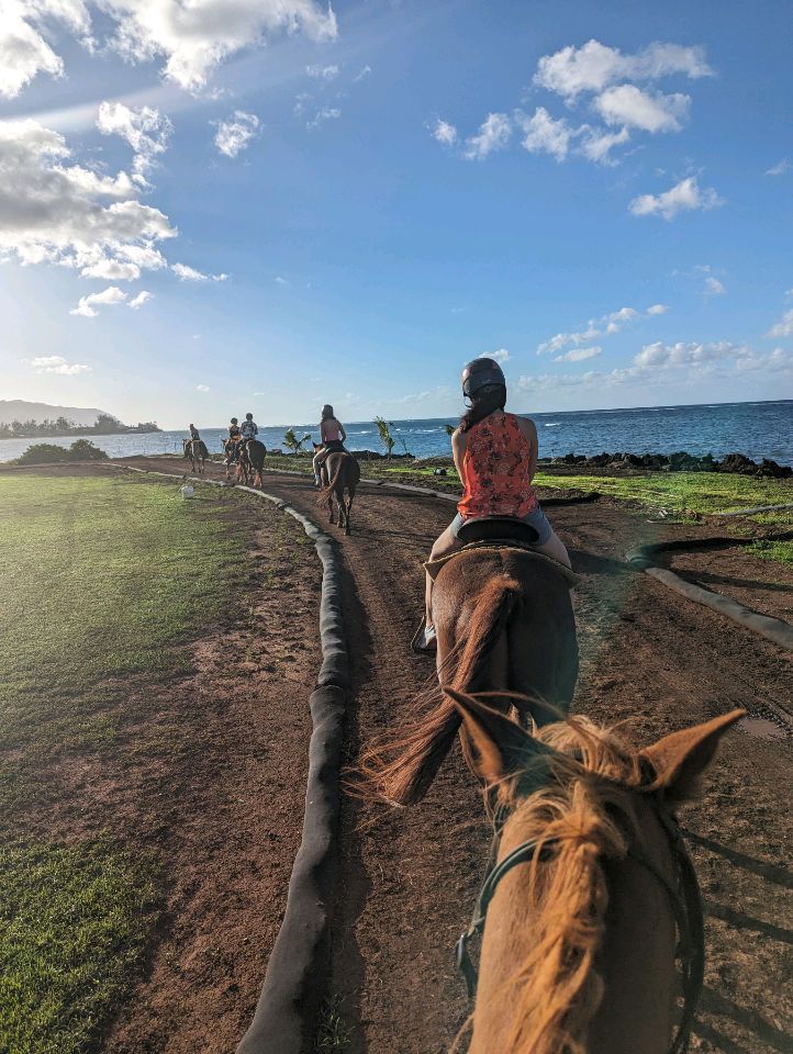 A Lesson in Tax Troubles and Horseback Riding, Hawaiian Style