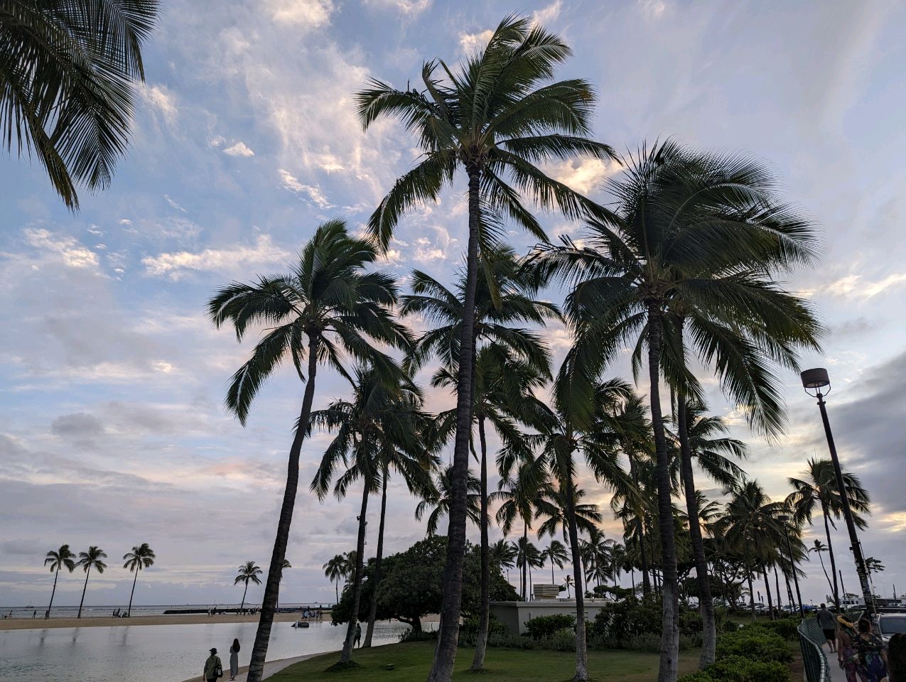 Greetings from a Hawaiian Coffee Shop: Ocean Views, Big Plans, and Insights with Hawaiian Serenity